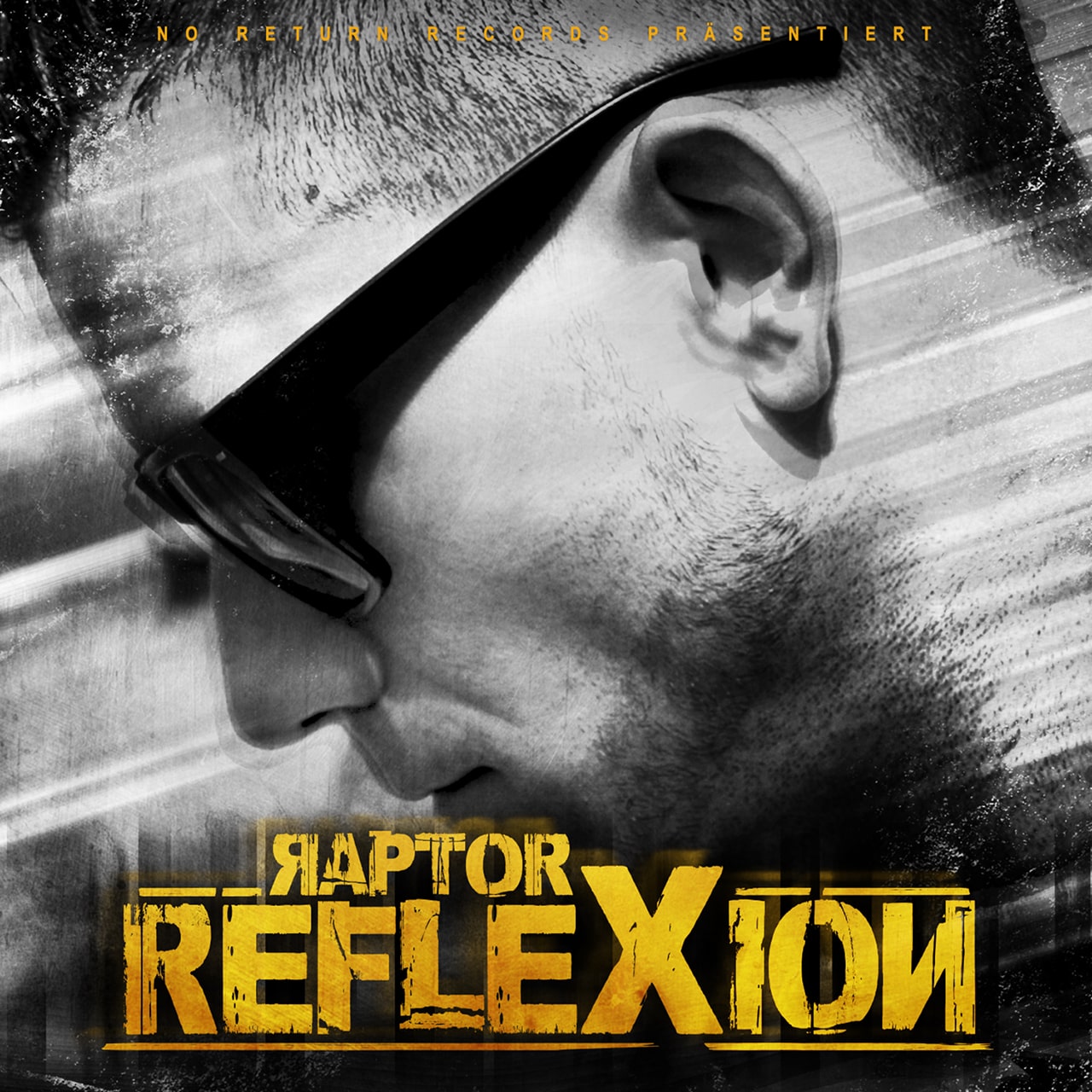 Bild von Raptor "Reflexion"